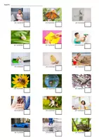 Voorbeeld - zoemfestival spellingspel en leesspel - Voorblad