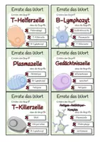 Vorschau - Spiele - Immunsystem - Errate das Wort-Spiel - Seite 3