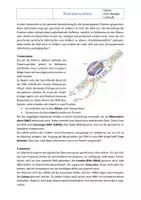 Vorschau - Arbeitsblätter - Grundlagen der Genetik: Proteinbiosynthese mit Lösung - Seite 1