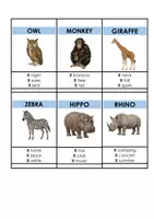Vorschau - Bildkarten - DANGEROUS ANIMALS Guess The Word (More 3 Unit 4) Vocabulary Game - Seite 3