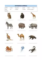 Vorschau - Arbeitsblätter - Dangerous Animals Matching Exercise (More 3 Unit 4) - Seite 1