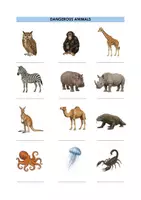 Vorschau - Arbeitsblätter - Dangerous Animals Matching Exercise (More 3 Unit 4) - Seite 3