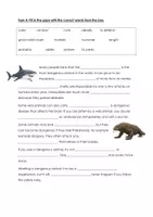 Vorschau - Arbeitsblätter - Dangerous Animals Vocabulary Work (More 3 Unit 4) - Seite 2