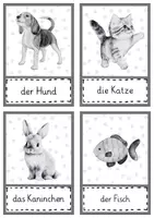Vorschau - Arbeitsblätter - Bildkarten Haustiere – DaZ Wortschatzkarten | A1 Grundschule - Seite 3