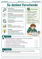 Vorschau - Arbeitsblätter - Naturwissenschaften Minibundle Klasse 5 bis 6 - Seite 2