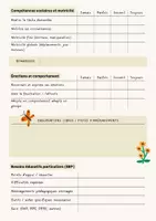 Aperçu - Outils du professeur - Grille d'Observation École Inclusive Besoins Éducatifs Particuliers - Page 1