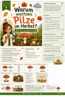 Vorschau - Stundenentwürfe - Pilze | Sachunterricht Klasse 1-4 | Arbeitsblätter, Experimente & Forscherheft - Seite 1