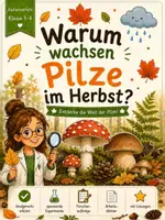 Vorschau - Stundenentwürfe - Pilze | Sachunterricht Klasse 1-4 | Arbeitsblätter, Experimente & Forscherheft - Seite 2