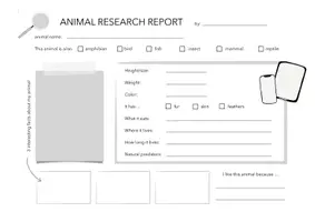 Vorschau - Arbeitsblätter - Animal research report - Seite 2