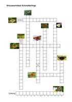 Vorschau - Arbeitsblätter - Schmetterlinge: Kreuzworträtsel - Seite 3