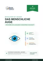 Vorschau - Stundenentwürfe - Biologie: Das menschliche Auge - Klasse 7/8 - Deckblatt