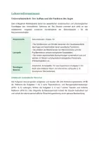 Vorschau - Stundenentwürfe - Biologie: Das menschliche Auge - Klasse 7/8 - Seite 1