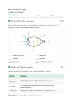 Vorschau - Stundenentwürfe - Biologie: Das menschliche Auge - Klasse 7/8 - Seite 3