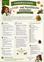 Vorschau - Stundenentwürfe - Laub- und Nadelbäume | Herbst | Grundschule Sachunterricht Klasse 1-4 - Seite 1