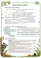 Vorschau - Arbeitsblätter - Arbeitsmaterial zum Bookletto "Lebensraum Wald", Biologie Kl. 4-6 - Seite 1