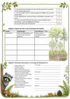 Vorschau - Arbeitsblätter - Arbeitsmaterial zum Bookletto "Lebensraum Wald", Biologie Kl. 4-6 - Seite 2