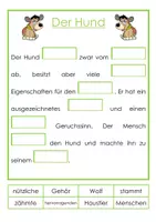 Vorschau - Stundenentwürfe - Sachliche Lückentexte – SET - Seite 3