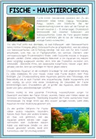 Vorschau - Arbeitsblätter - FISCHE - Haustiercheck - Seite 1