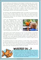 Vorschau - Arbeitsblätter - FISCHE - Haustiercheck - Seite 2