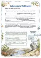 Vorschau - Arbeitsblätter - Arbeitsmaterial zum Bookletto "Lebensraum Wattenmeer", Biologie Kl. 4-6 - Seite 2