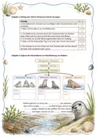 Vorschau - Arbeitsblätter - Arbeitsmaterial zum Bookletto "Lebensraum Wattenmeer", Biologie Kl. 4-6 - Seite 3
