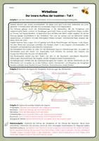 Vorschau - Arbeitsblätter - Der innere Aufbau der Insekten - Seite 2