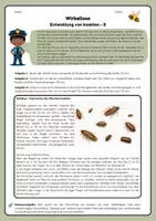 Vorschau - Arbeitsblätter - Entwicklung von Insekten - Seite 2