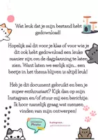 Voorbeeld - Dagritmekaarten thema katten - Pagina 1