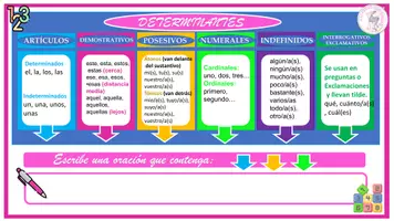 Vista previa - Hojas de trabajo - HAZ ORACIONES CON DETERMINANTES - página 2