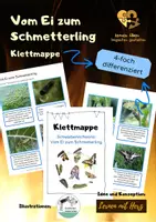 Vorschau - Arbeitsblätter - Klettmappe: Vom Ei zum Schmetterling (Schwalbenschwanz) - Deckblatt