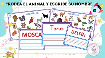Vista previa - Hojas de trabajo - BUSCAR ANIMALES. ASOCIARLOS CON LA PALABRA Y ESCRIBIRLA. - Portada