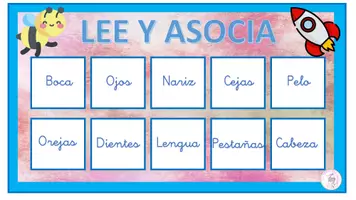 Vista previa - Hojas de trabajo - ASOCIA PALABRA CON IMAGEN. VOCABULARIO COLEGIO Y PARTES DEL CUERPO. - página 3