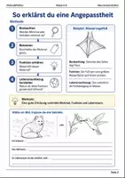 Vorschau - Arbeitsblätter - MINT Lernmalbuch Mediumbundle Klasse 5–6 - Seite 3