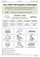 Vorschau - Arbeitsblätter - Nahrungsketten Lernmalbuch Klasse 5–6 - Seite 1