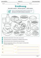 Vorschau - Arbeitsblätter - Ernährung Lernmalbuch Klasse 5–6 - Deckblatt