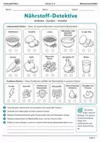 Vorschau - Arbeitsblätter - Ernährung Lernmalbuch Klasse 5–6 - Seite 3