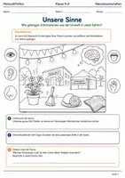 Vorschau - Arbeitsblätter - Naturwissenschaften Minibundle Klasse 5–6 - Seite 1