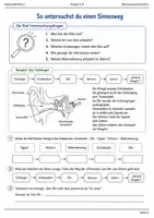 Vorschau - Arbeitsblätter - Naturwissenschaften Minibundle Klasse 5–6 - Seite 3