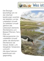 Vorschau - Arbeitsblätter - Lebensraum Wattenmeer/Ökologie – Booklet, inkl. Arbeitsmaterial Biologie Klasse 4–6 - Seite 2
