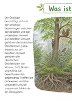 Vorschau - Unterrichtsreihen - Lebensraum Wald/ Ökologie – Booklet, inkl. Arbeitsmaterial Biologie Klasse 4–6 - Seite 2