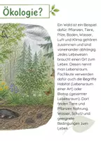 Vorschau - Unterrichtsreihen - Lebensraum Wald/ Ökologie – Booklet, inkl. Arbeitsmaterial Biologie Klasse 4–6 - Seite 3
