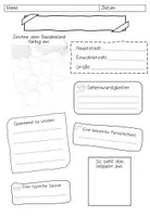 Vorschau - Arbeitsblätter - Steckbrief Bundesland - Arbeitsblatt - Seite 2