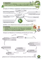 Vorschau - Arbeitsblätter - Erschließungsfelder am Beispiel Lurche / Amphibien- Biologie verstehen und entdecken - Seite 1