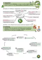 Vorschau - Arbeitsblätter - Erschließungsfelder am Beispiel Lurche / Amphibien- Biologie verstehen und entdecken - Seite 3