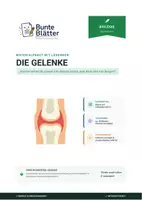 Vorschau - Stundenentwürfe - Biologie: Die Gelenke - Klasse 5/6 - Deckblatt
