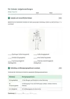 Vorschau - Stundenentwürfe - Biologie: Die Gelenke - Klasse 5/6 - Seite 3