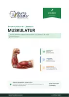 Vorschau - Stundenentwürfe - Biologie: Die Muskulatur - Klasse 5/6 - Deckblatt