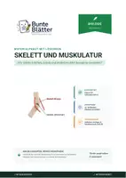 Vorschau - Stundenentwürfe - Biologie: Skelett und Muskulatur - Klasse 5/6 - Deckblatt