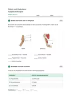 Vorschau - Stundenentwürfe - Biologie: Skelett und Muskulatur - Klasse 5/6 - Seite 3