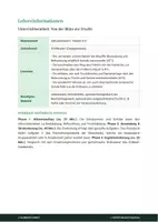 Vorschau - Stundenentwürfe - Biologie: Von der Blüte zur Frucht - Klasse 5/6 - Seite 1